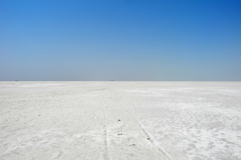 Exploring the White Desert of Gujarat, India on a Budget